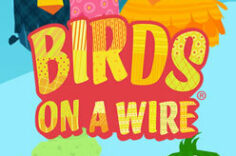 Играть в Birds On A Wire