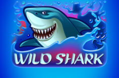 Играть в Wild Shark